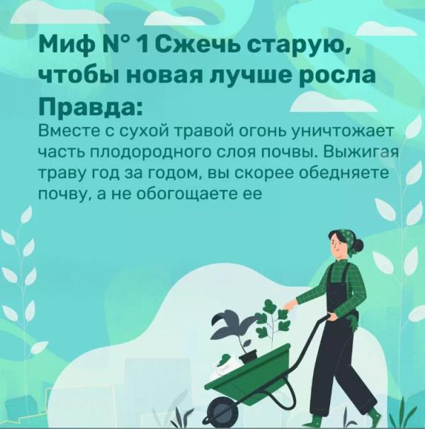Правила пожарной безопасности в весенний период