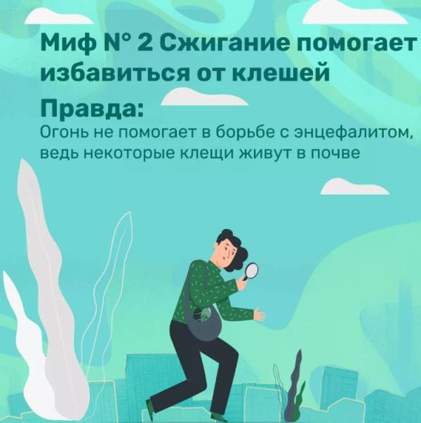 Правила пожарной безопасности в весенний период