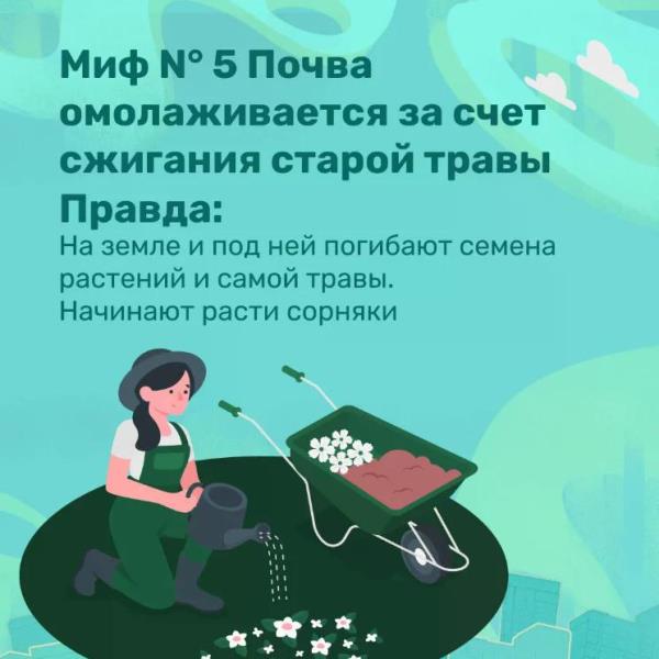Правила пожарной безопасности в весенний период