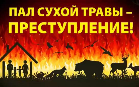 Правила пожарной безопасности в весенний период